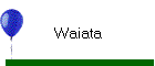 Waiata